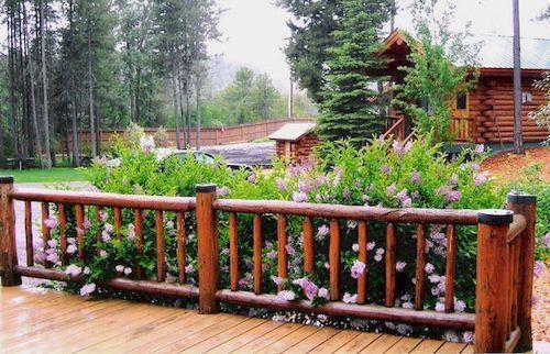 Silverwolf Log Chalets Coram Esterno foto